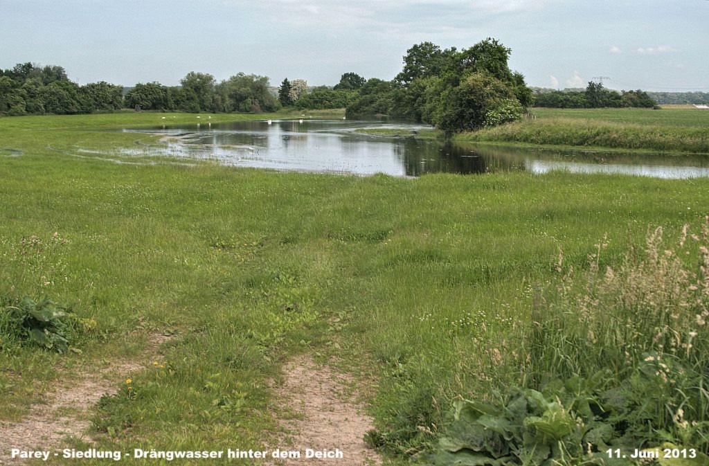 Hochwasser- 2013_06_11-002-Parey-Siedlung.jpg
